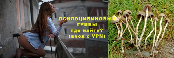 спиды Новодвинск