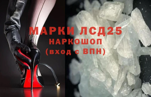 спиды Новодвинск